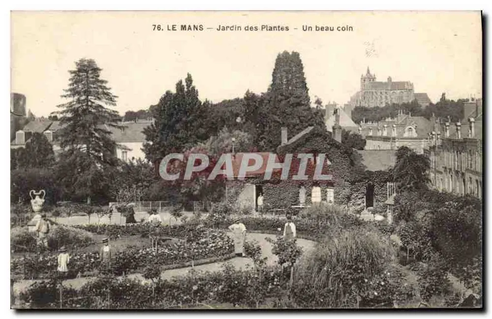 Le Mans — Jardin des Plantes — Ein schöner Bereich - Vorderseite