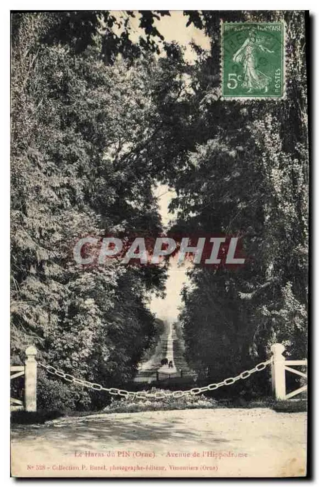 Le Haras du PIN (Orne) — Avenue de l'Hippodrome — Collection P. Bundel, photographe-éditeur, Yonmontiers (Orne) - Recto