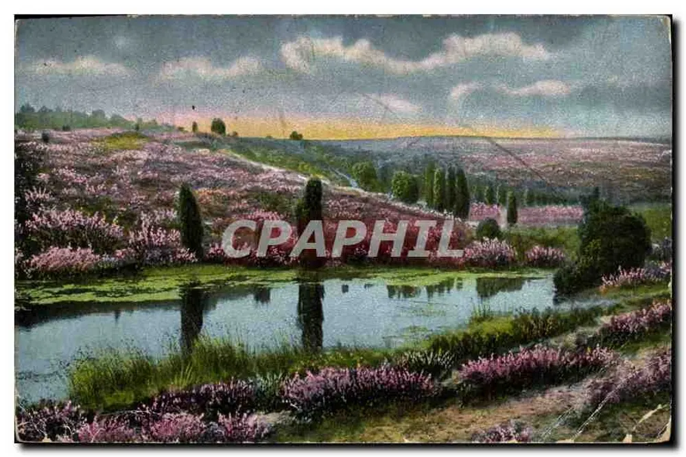 Paisagem de campina florescida com lago — editor não identificado, número de série não visível - Frente