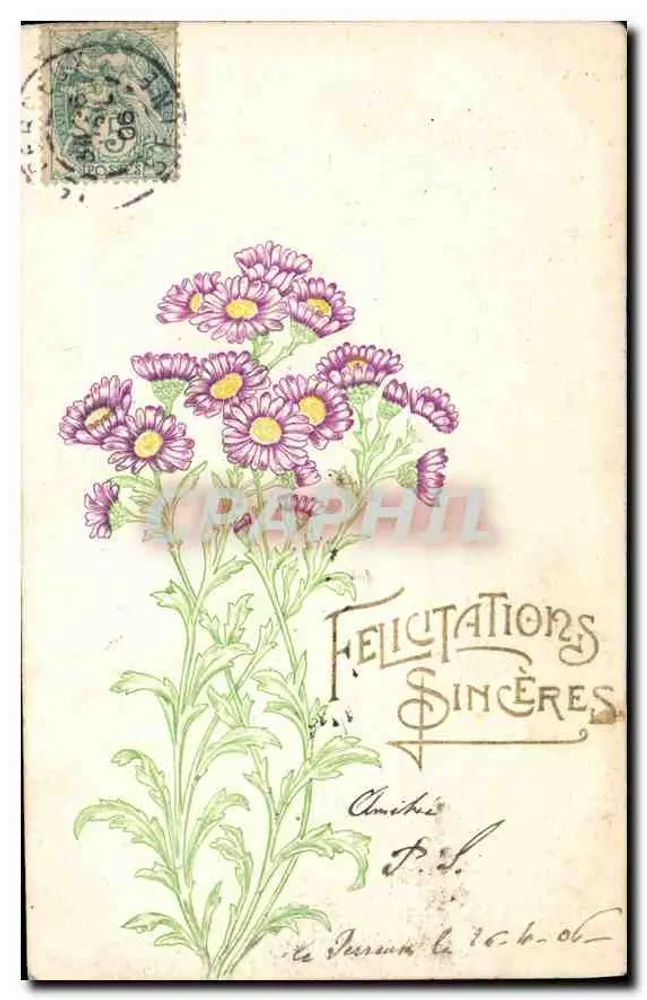 Flores violetas — Parabéns sinceros — G.B. - Frente