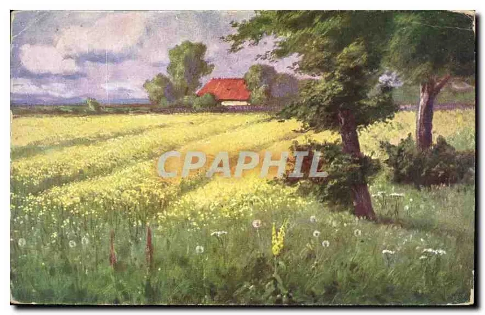 Campo de flores amarelas — casa no fundo — R & L 1686 - Frente