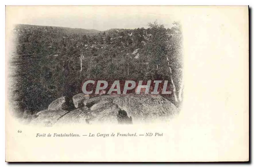 Forêt de Fontainebleau — Les Gorges de Francbard — ND Phot - Recto