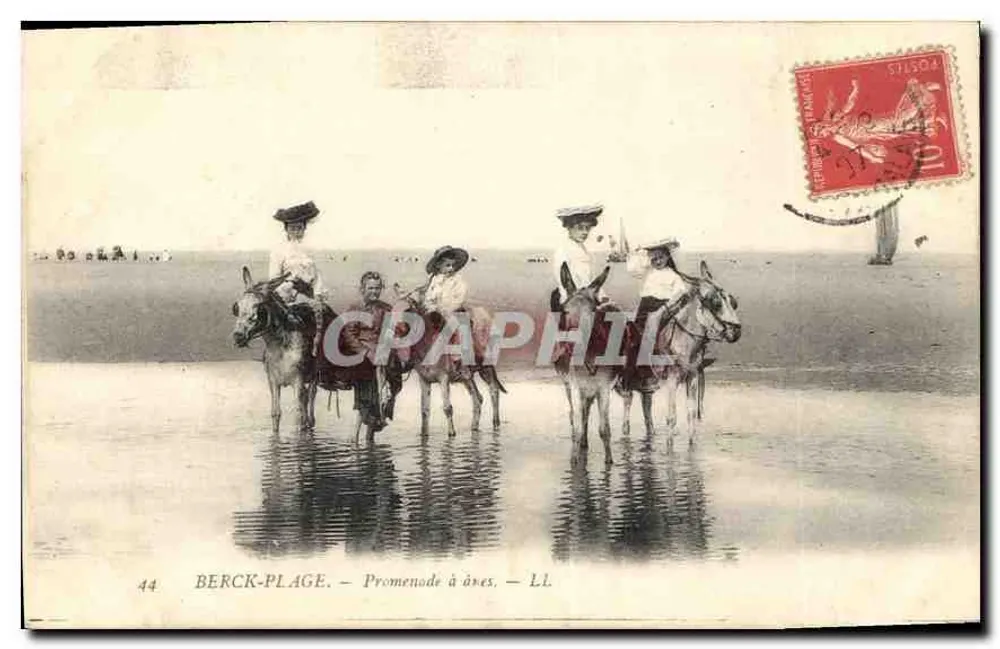Berck-Plage — Passeio a jumentos — LL - Frente