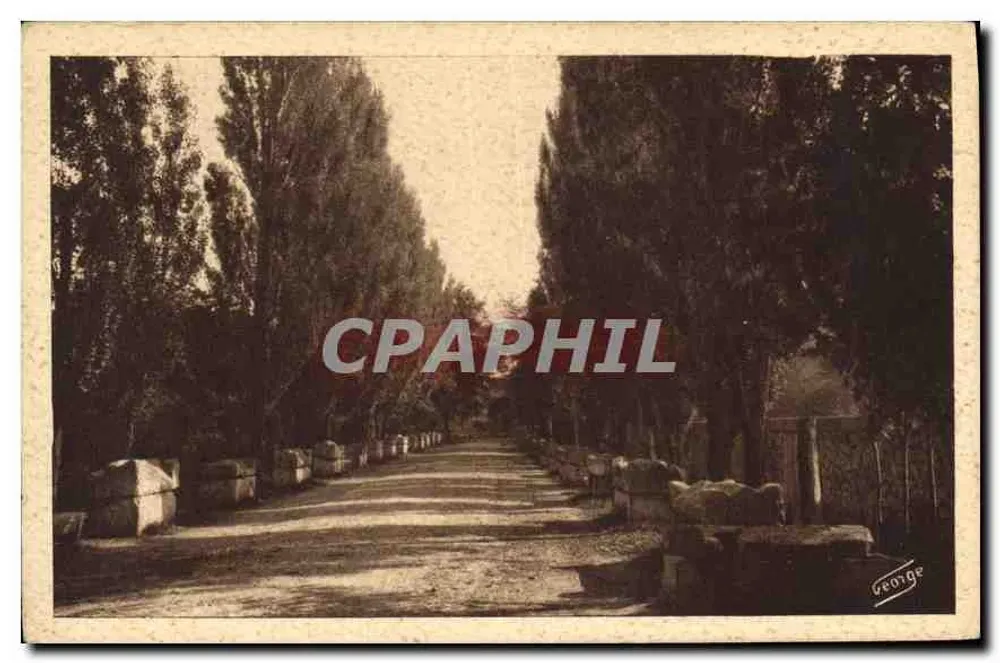 Die Alyscamps — Allée der Gräber — Arles-sur-Rhône — Édit. J. George - Vorderseite
