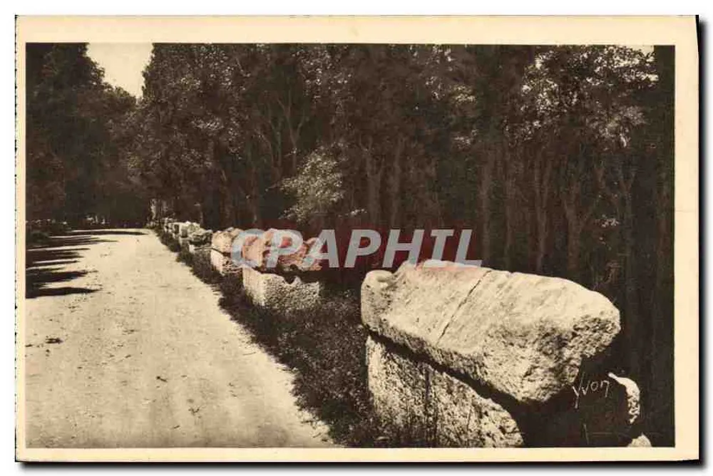 Die Alyscamps - Die Gasse der Grabsteine — Arles (Bouches-du-Rhône) — Éditions d'Art YVON - Vorderseite