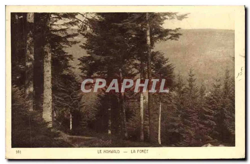 O Hohwald — A Floresta — BRAUN & Cie, Lembach (Haut-Rhin) n°161 - Frente