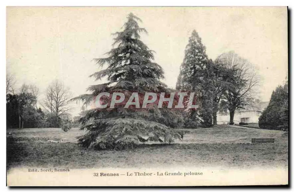 Rennes — O Thabor — A Grande gramada — Edit. Sorel, Rennes - Frente