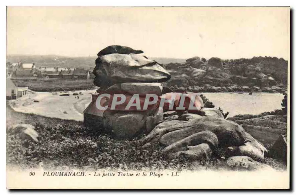 PLOUMANACH - Die kleine Schildkröte und der Strand - LL - Vorderseite