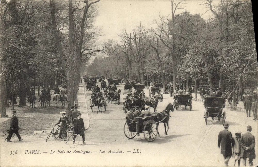 Paris — Le Bois de Boulogne — Les Acacias — LL. — n° 338 - Vorderseite