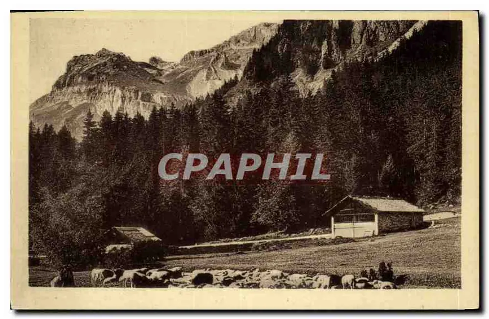 Plaine-Joux en de Aiguilles de Warens — Foto C. Neau - Voorkant