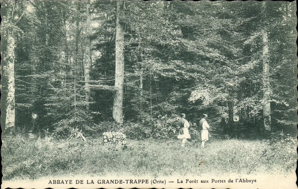 Abtei La Grande-Trappe (Orne) — Der Wald vor den Toren der Abtei - Vorderseite
