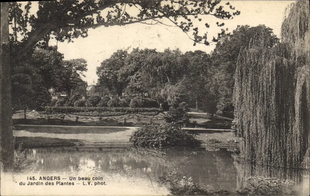 Angers — Ein schöner Teil des Jardins des Plantes — L.V. phot. n°145 - Vorderseite