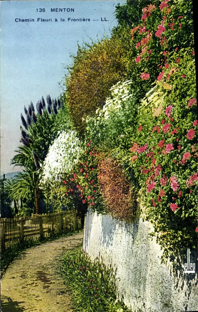 Kolorowa droga kwiatowa na granicy — Menton — LL. — Wydawca: Ellen - Awers