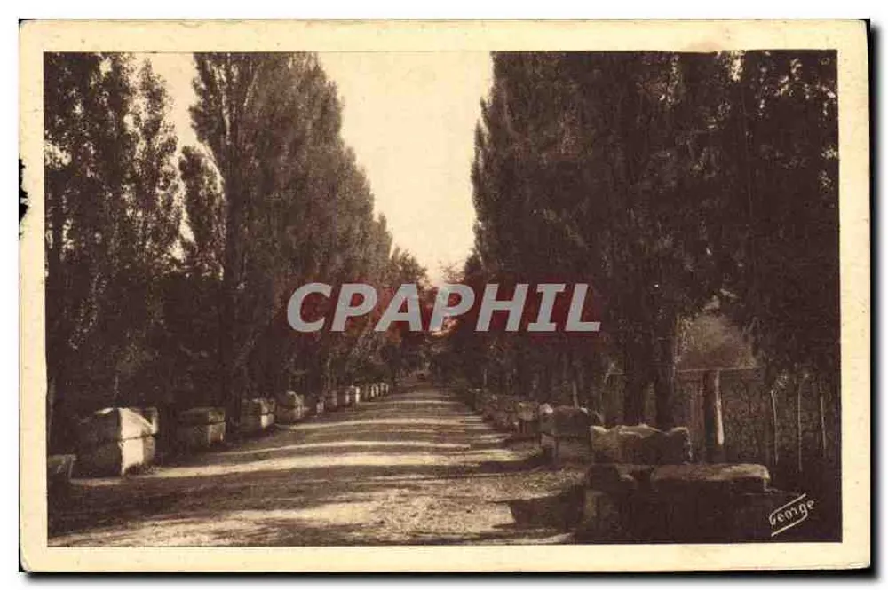 Les Alpscamps — Allée des Tombeaux — Éditeur J. GEMGE - Arles-sur-Rhône - Vorderseite