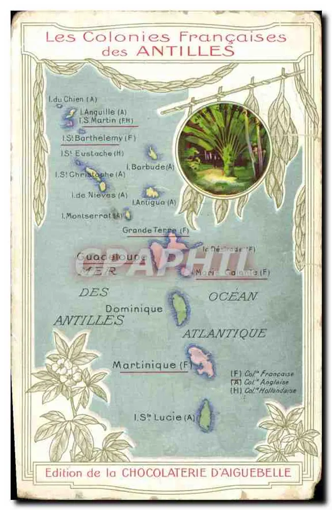Les Colonies Françaises des ANTILLES — carte géographique avec illustration de végétation — Édition de la CHOCOLATERIE D'AIGUEBELLE - Anverso