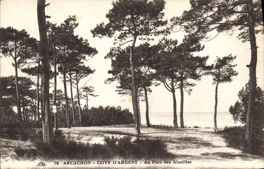 Arcachon - Côte d'Argent - No Parc des Abatilles - Frente