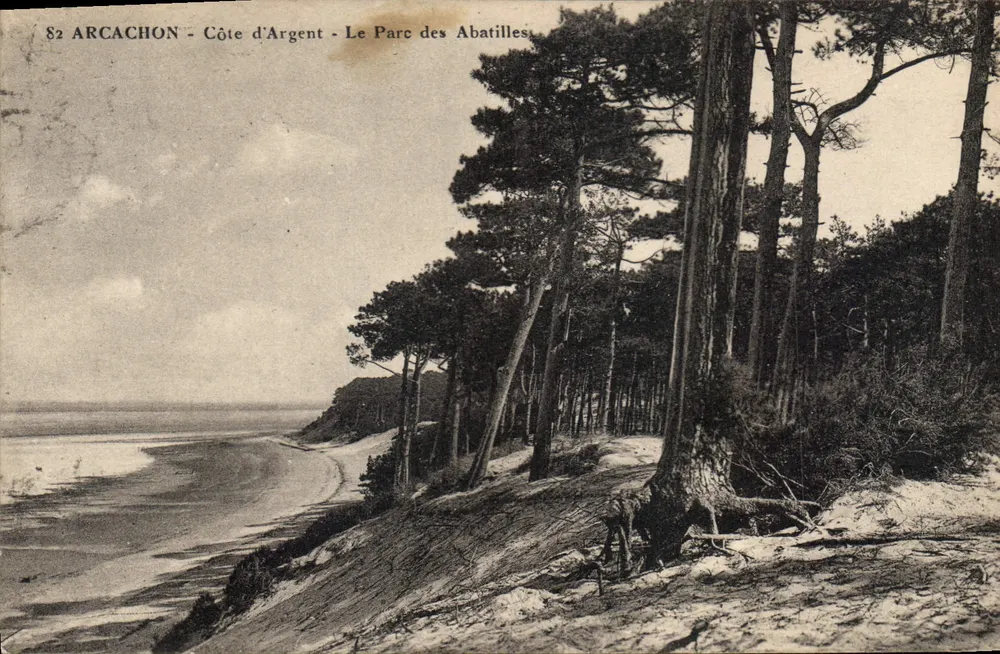 Arcachon - Costa de Prata - O Parque dos Abatilles - Frente