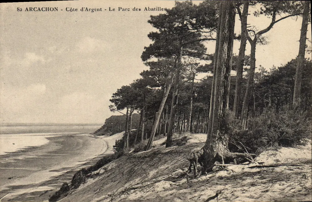 Arcachon - Costa de Prata - O Parque dos Abatilles - Frente