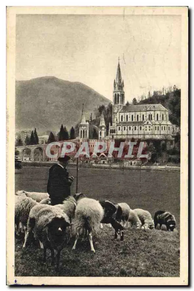 Lourdes — La Basilique — Édition P. Doucet, n°27 - Frente