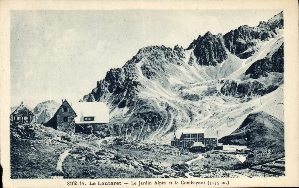Le Lautaret — Der Alpinergarten und der Combeynot (3155 m.) — Verleger unbekannt, Nr. 8102.14 - Vorderseite