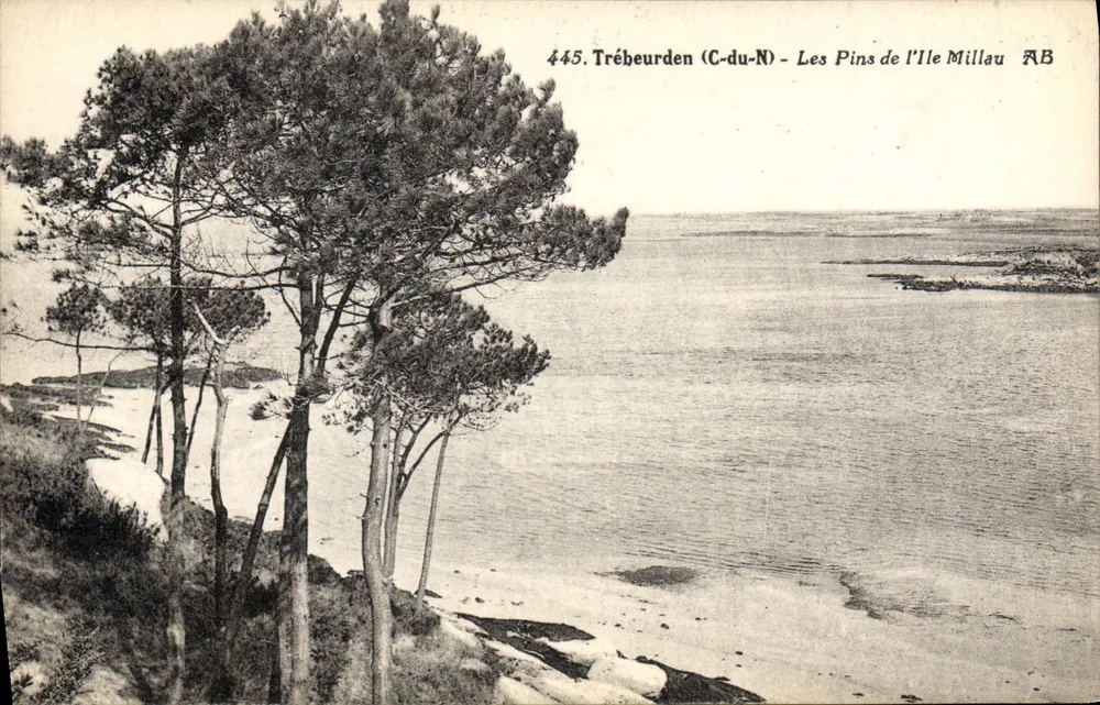 Trébeurden (C-du-N) — Die Kiefern der Île Millau — Serie 445, Verlag AB - Vorderseite