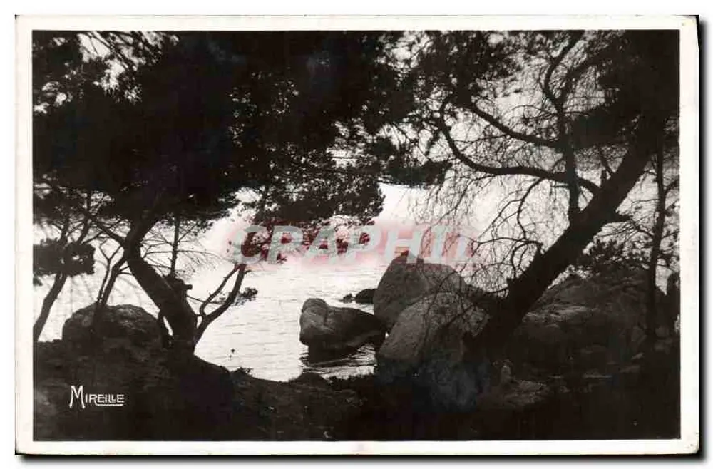 Strand von l'Arène in Cassis — Sonnenuntergang — Edition G. Gandini, Marseille - Vorderseite