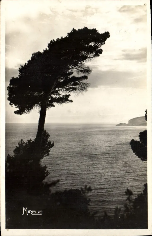 Cassis-sur-Mer — Ansicht über die Bucht — Mireille - Vorderseite
