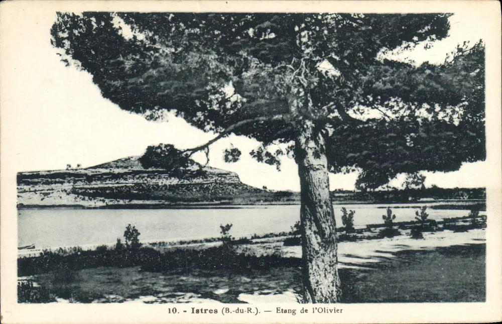 Istres (B.-du-R.) — Etang de l'Olivier — A. Tardy, Photo-Edit. du Port, Marseille - Recto