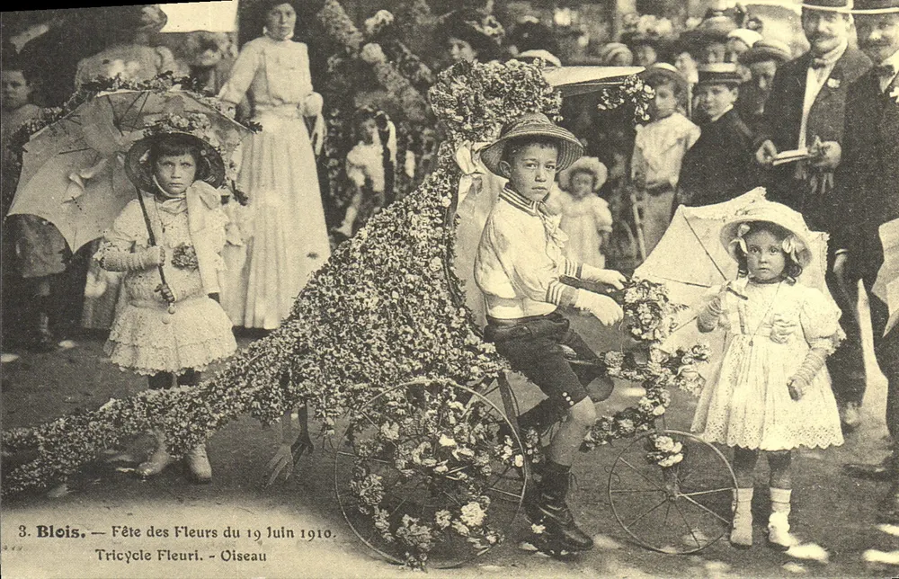 Blois — Blütenfest des 19. Juni 1910 — Blütenverziertes Dreirad - Vogel - Vorderseite