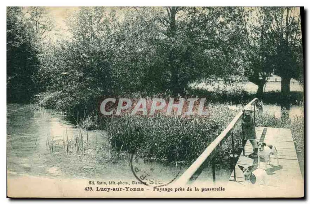 Lucy-sur-Yonne — Landschaft nahe der Brücke — Éd. Satin, Clamecy, n°439 - Vorderseite