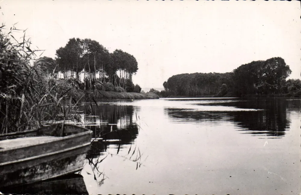 I bordi dell'Yonne — Vicino a Sens — PHOTO-CO-LIM, Chaville (S-81-0) - Recto