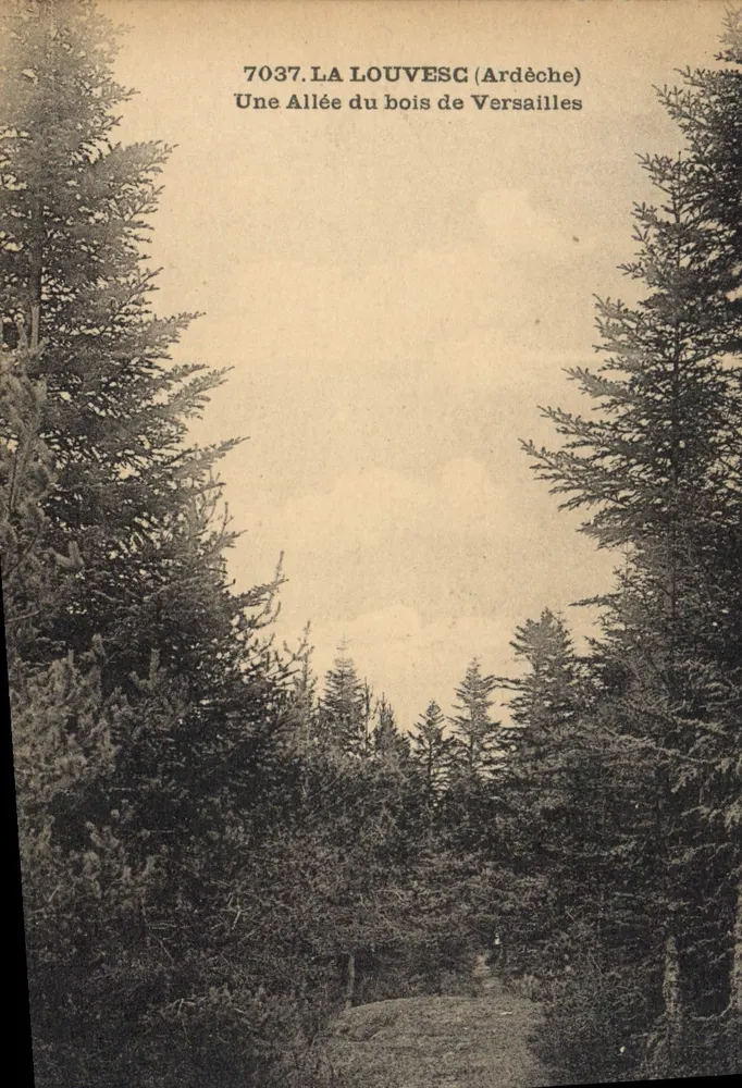 La Louvesc (Ardèche) — Ein Weg im Versailles-Wald — Éditions d'Art Wagner, n°7037 - Vorderseite