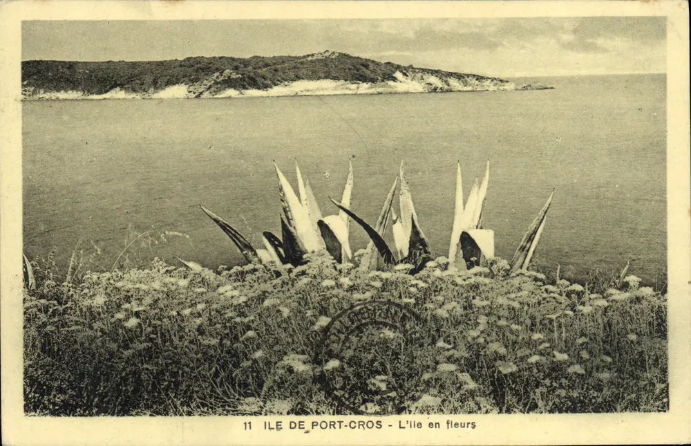 Ilha de Port-Cros — A ilha em flores — Edição F. Lavandou - Frente