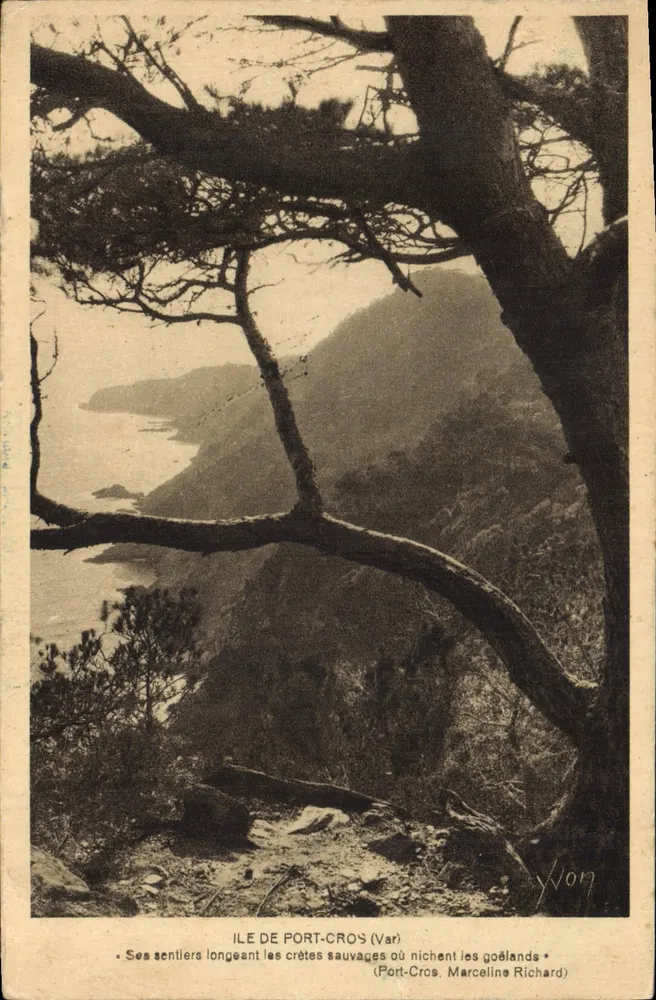 Ilha de Port-Cros (Var) — Seus caminhos ao longo das cristas selvagens onde nidificam os gaviões — Marceline Richard - Frente