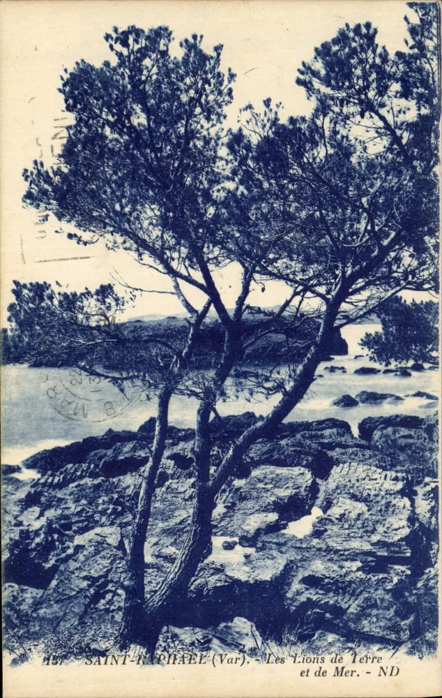 Saint-Raphaël (Var) — Die Löwen von Land und Meer — ND - Vorderseite