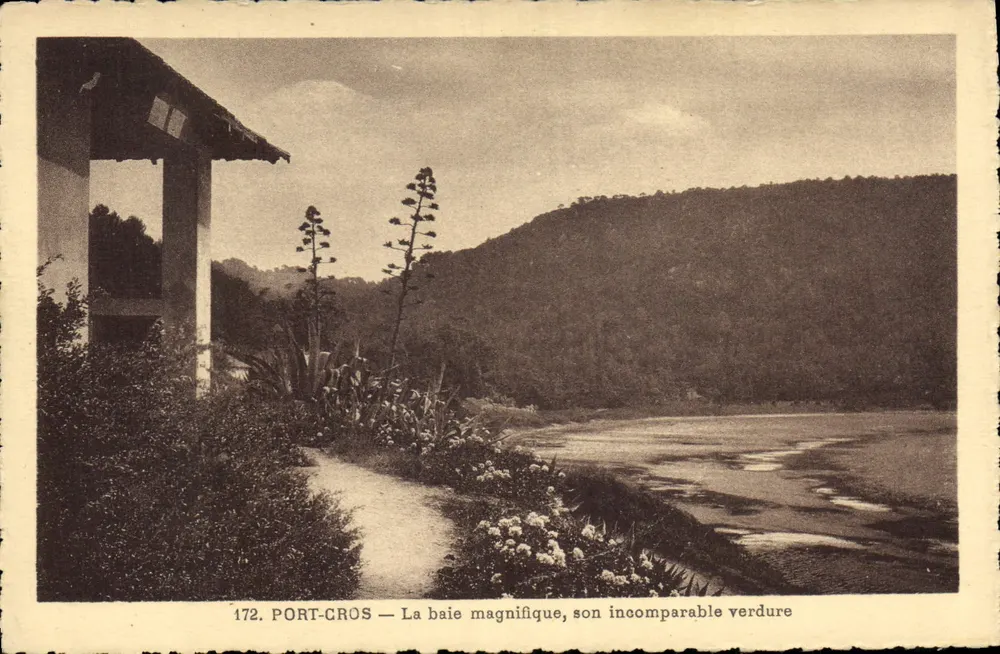 Port-Cros — Die prächtige Bucht, ihre unvergleichliche Grünheit — n° 172 - Vorderseite