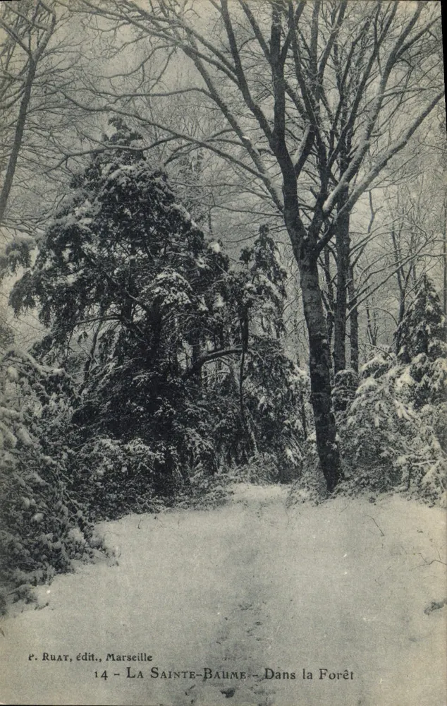 La Sainte-Baume — Na Floresta — P. Ruat, édit., Marselha — n°14 - Frente