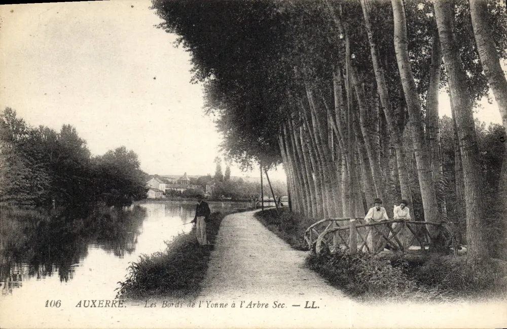 Auxerre — Die Ufer der Yonne am l'Arbre Sec — LL. — N° 106 - Vorderseite