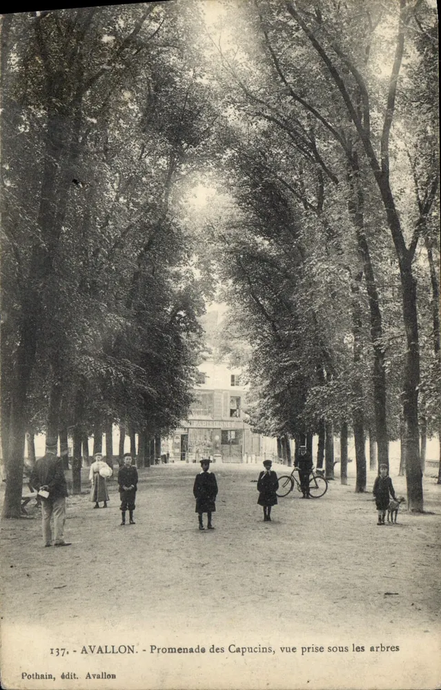 Avallon - Promenade des Capucins - Ansicht unter den Bäumen - Pothain, Verlag Avallon - Vorderseite