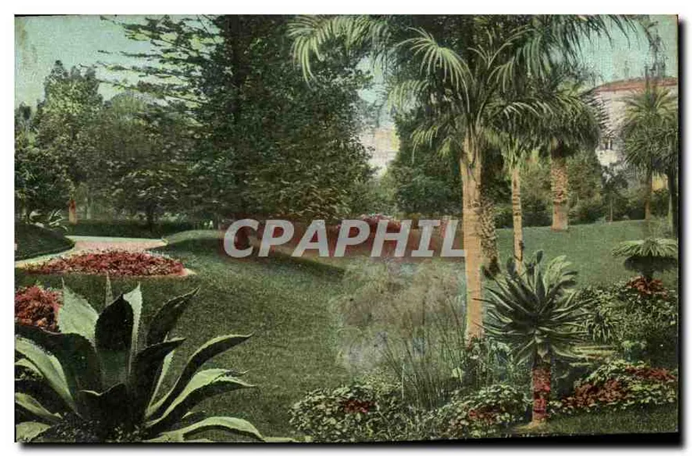 Jardim tropical — vista do parque — editor não identificado - Frente