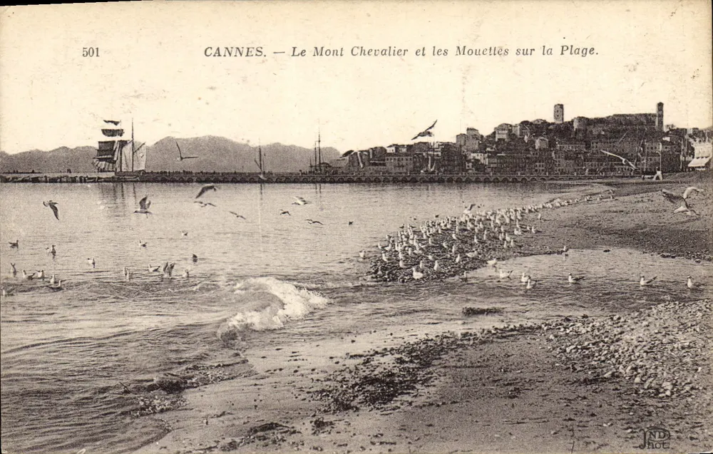 CANNES — Mount Chevalier und die Möwen am Strand — Phot. - Vorderseite