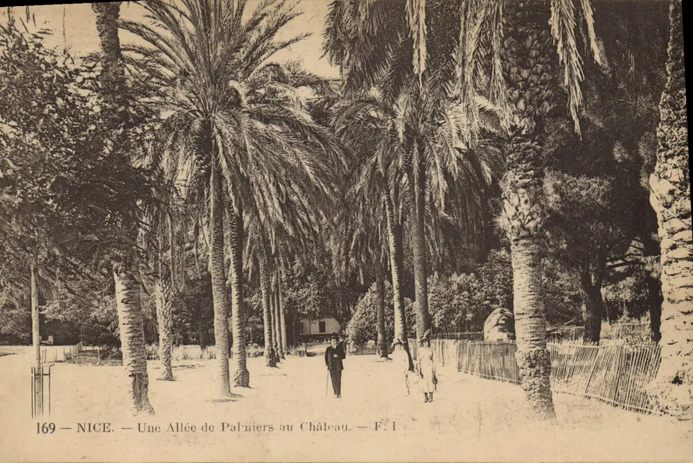 Niza — Una avenida de palmeras al castillo — Frédéric Lavaud, editor, n° 169 - Anverso