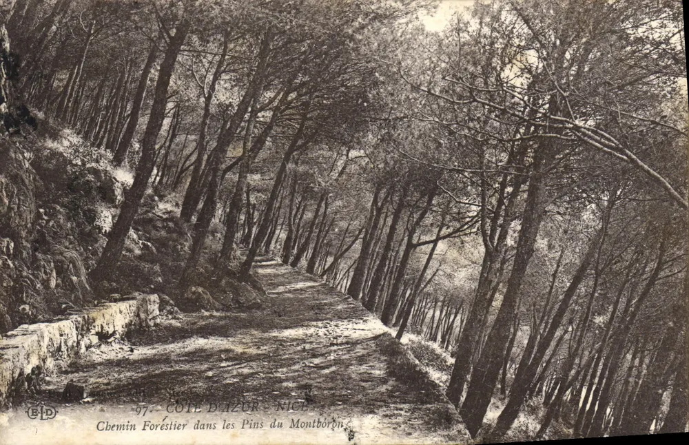 Waldweg unter den Pines von Montboron — Côte d'Azur - Nice — Verlag B.D. n°97 - Vorderseite