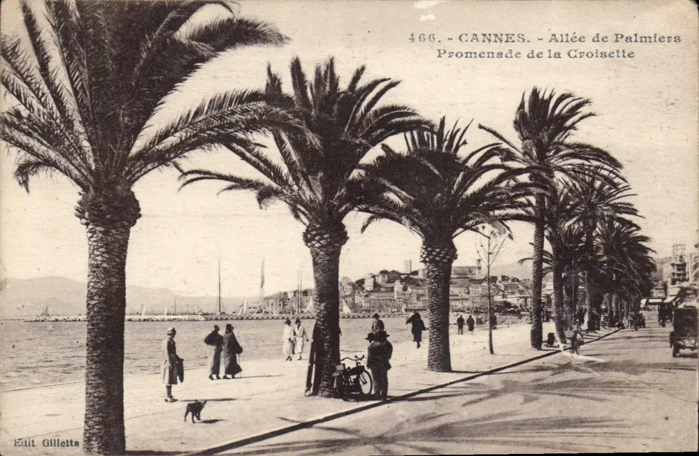 CANNES — Promenade der Palmenallee, Croisette — Edit Gilletta, n° 466 - Vorderseite