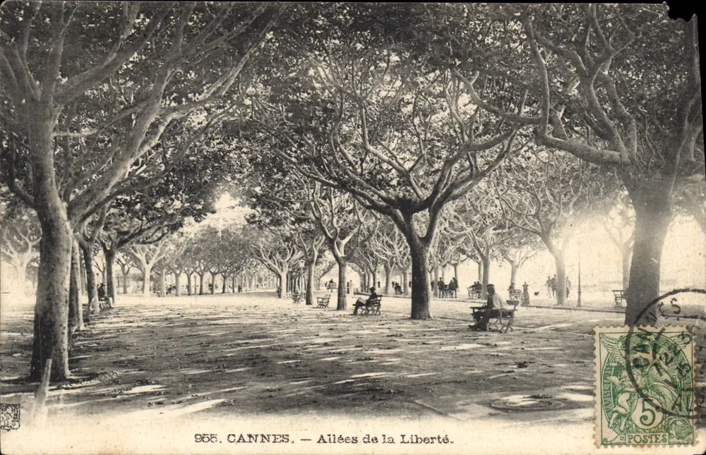 CANNES — Avenues de la Liberté — Editor: Postes, n° 955 - Frente