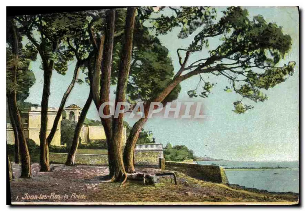Juan-les-Pins, la Pinède — vue de la pinède avec un bâtiment en arrière-plan, éditeur AQUA-Photo, n°1 - Frente