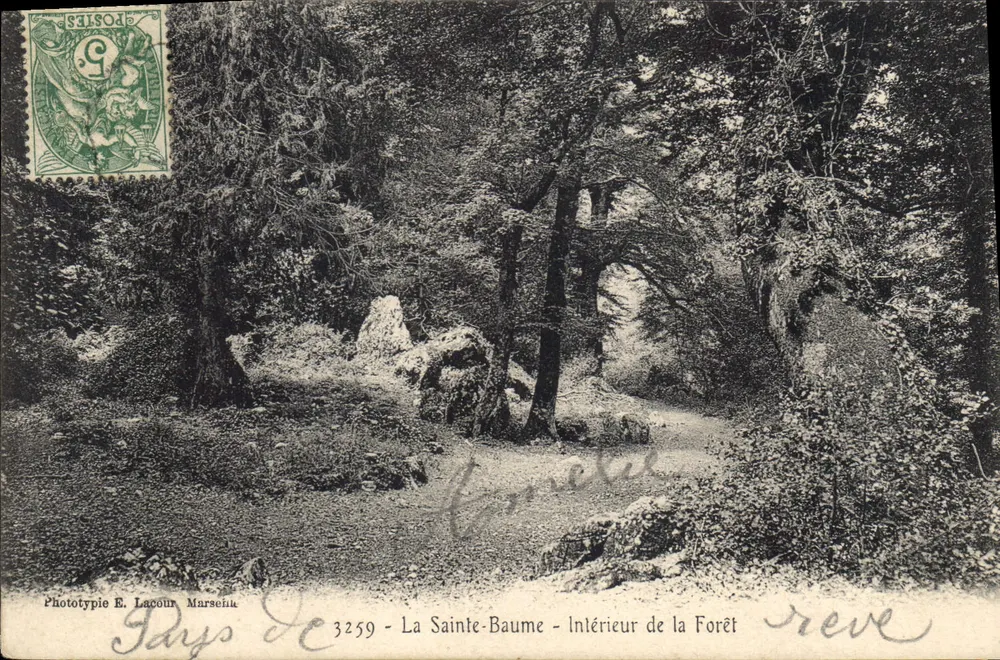 La Sainte-Baume - Interior da Floresta — Fototipia E. Lacour, Marselha, n°3259 - Frente