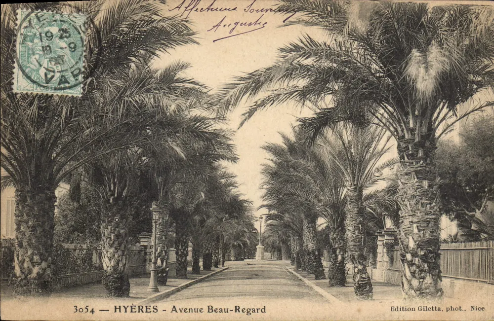 Hyères - Avenida Beau-Regard — vista de avenida cercada de palmeiras — Edição Giletta, fot. Nice, n° 3054 - Frente