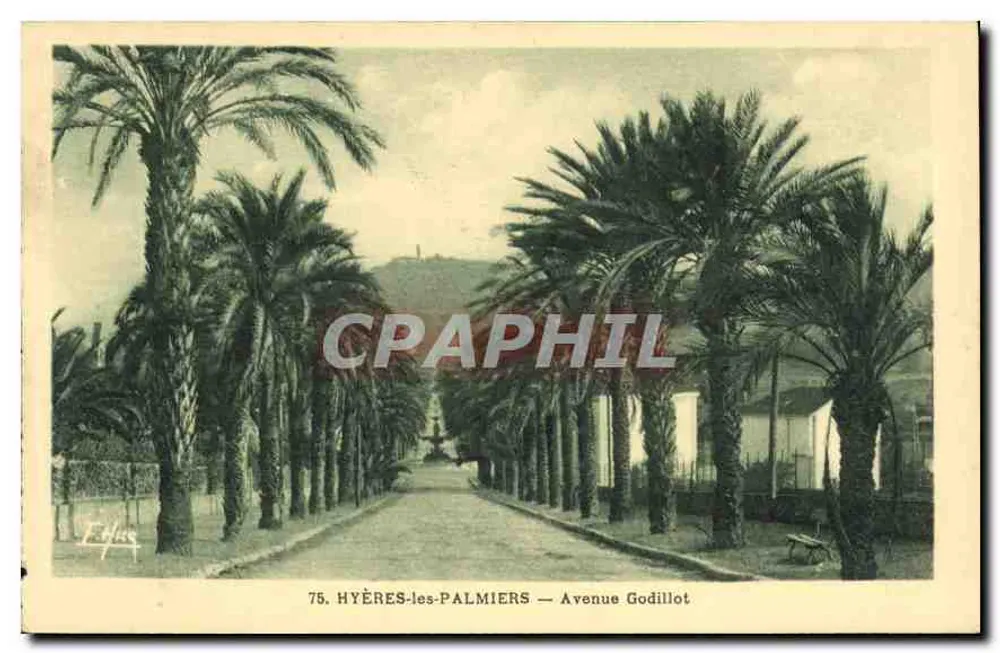 Hyères-les-Palmiers — Avenue Godillot — Verlag E. Allas, n°75 - Vorderseite