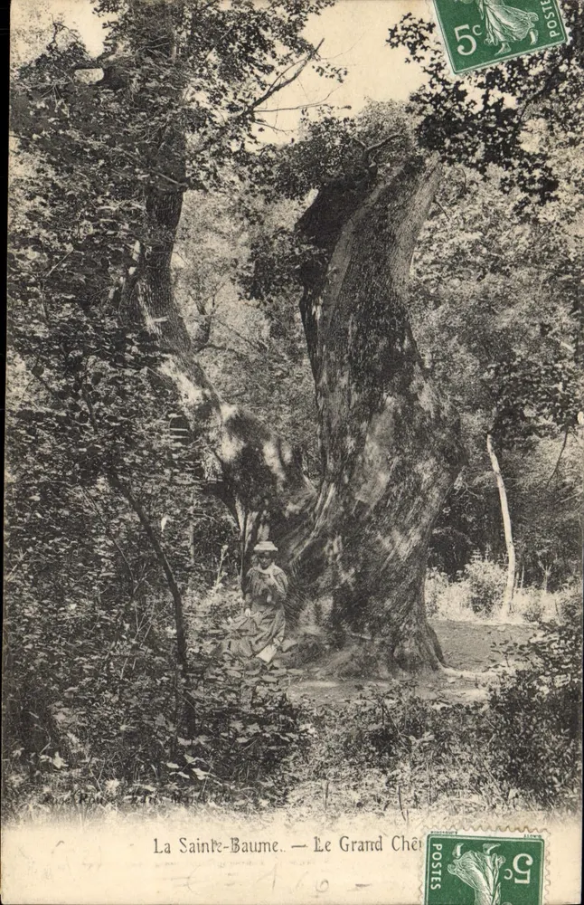 A Sainte-Baume — O Grande Carvalho — Editor: Roux & Cie, n° 160 - Frente